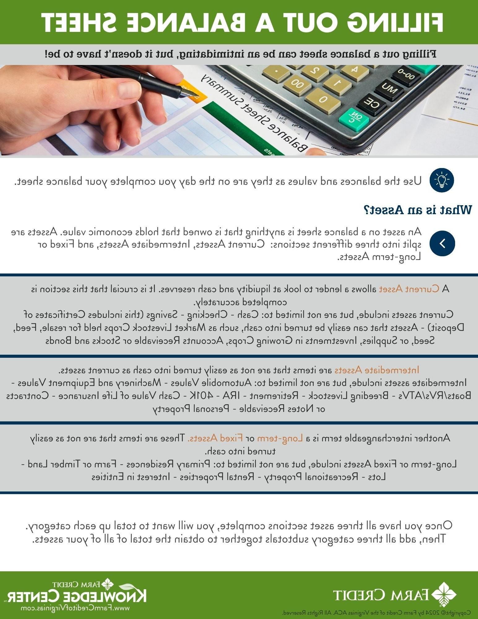 Filling out a balance sheet resource sheet 